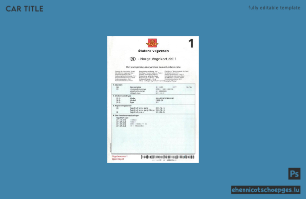 Beispiel einer norwegischen Fahrzeugzulassungsbescheinigung (Vorschau)